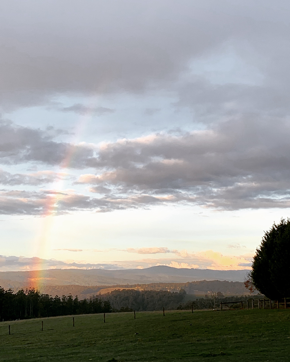 a rainbow is seen in the distance over a field with mountains in the background